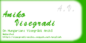 aniko visegradi business card