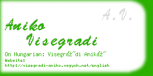 aniko visegradi business card